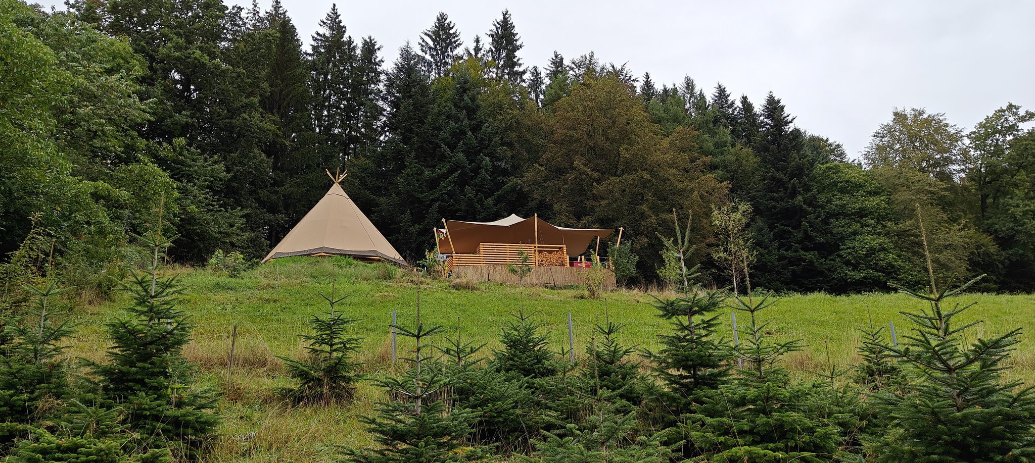  Naturkindergarten Motiv 
